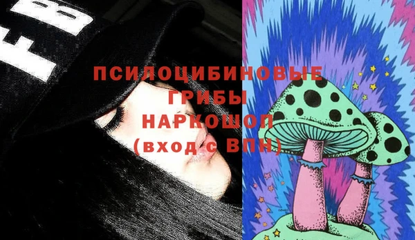 прущий лед Абаза
