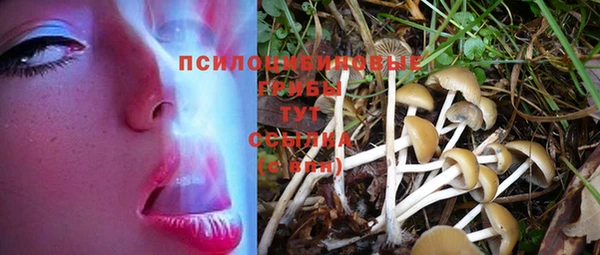 прущий лед Абаза
