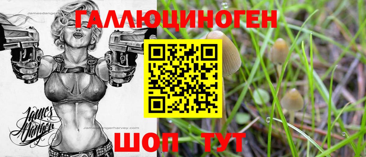 Псилоцибиновые грибы Magic Shrooms  Вход с VPN  Братск 