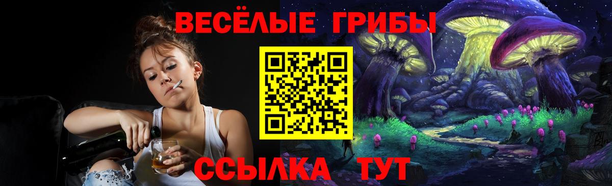 Псилоцибиновые грибы Magic Shrooms Братск