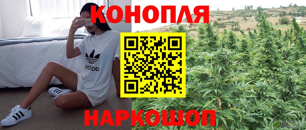 МАРИХУАНА планчик Братск